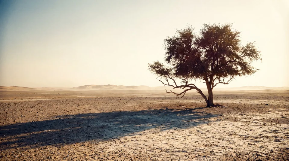 A solitary tree on a dry plain casting a long shadow toward the foreground — generative artwork.